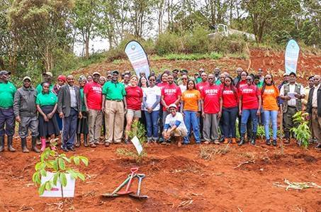 MSM alumni tree planting event Kenya
