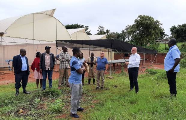 Strengthening skills and training capacity in the horticulture sector in Uganda | Maastricht School of Management