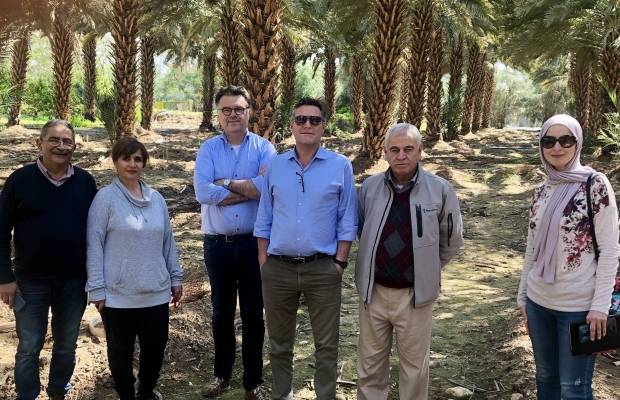 Hans Nijhoff and the team at a date palm farming in Jordan