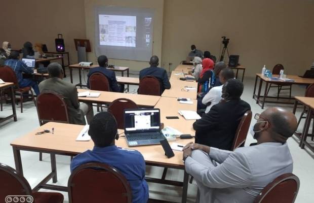 Ensuring a sustainable, prosperous and safe Sudan with the help of change management
