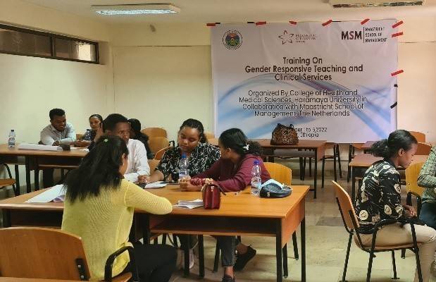 gender awareness training in the medical sector in Ethiopia | Maastricht School of Management