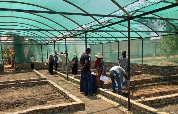 Training Course “Competence based training in Horticulture” in Sudan | Maastricht School of Management